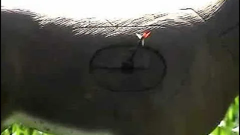 Splitting An Arrow. INCREDIBLE.