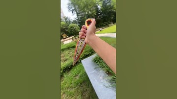 気に入りましたか？#apex #heirloom #octane #wingman #bloodhound #wraithheirloom