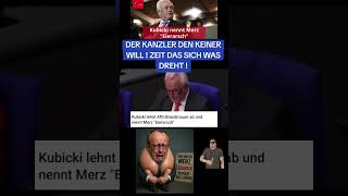 #fakten #nachrichten #wahrheit #merz #meinungsfreiheit #meinung #kubicki #regierung