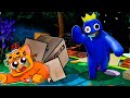 Jai reussit a me cacher du monstre bleue sur roblox   raimbow friends 