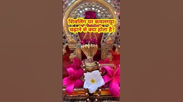 शिवलिंग पर कमलगट्टा चढ़ाने से क्या होता है?🙏🔱🙏#shorts #shivling Sawan ke upay pradeep mishra ji