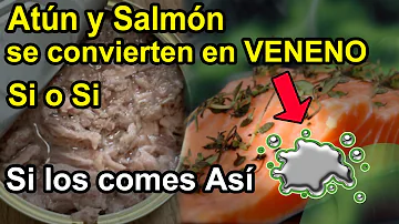 ¿Se consideran carne procesada el atún y el salmón enlatados?