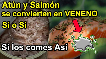 ¿Es mejor el atún o el salmón en conserva?