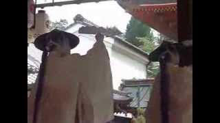 Maiko (geisha) dance