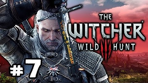 THE NILFGAARDIAN CONNECTION - Witcher 3 Wild Hunt Let