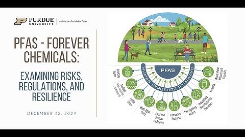 PFAS - Forever Chemicals: Examining Risks, Regulations, and Resilience