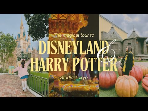 Magical Tour to Disneyland & Harry Potter Studio Tokyo | Japan Travel