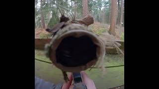 Tac-41 L - Sighting up my new scope after installing upgrades from @longbowbb