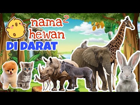 Mengenal hewan yang hidup di darat 💕 nama nama hewan bahasa indonesia dan inggris