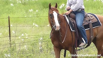 Exzackly On Time - trail riding - ValleyViewRanch.net