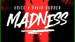 Voice x David Rudder - Madness | SOCA 2019