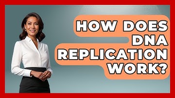 How Does DNA Replication Work? - Anecdotes in Quotation