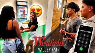 The Bay Area's Best Mall?  | Westfield Valley Fair ft. Shawn Select