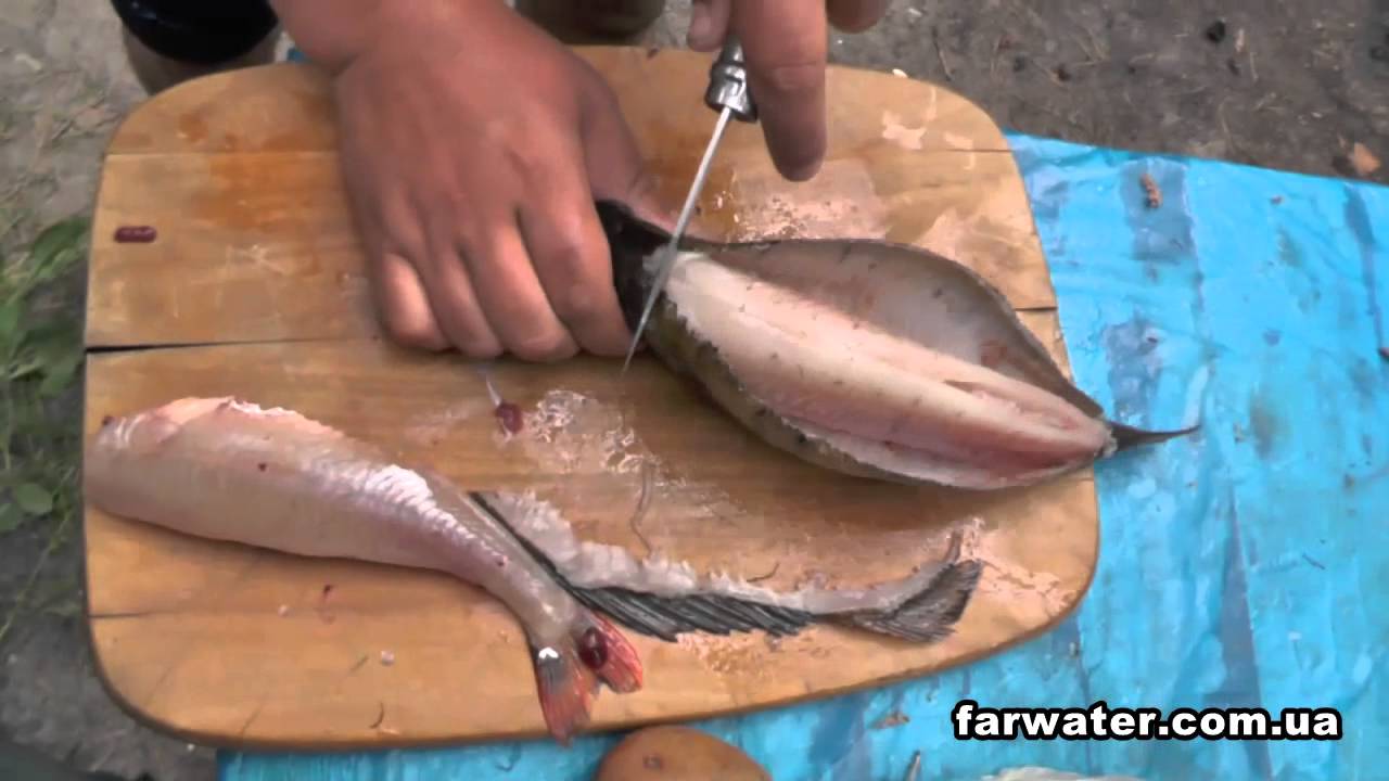 Окунь очищенный. Чистилка для окуня. Как быстро почистить окуня от чешуи в домашних. Чистка речного окуня от чешуи. Чистка окуня от чешуи.