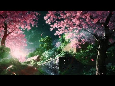 Tenno Journey Slowed Reverb 