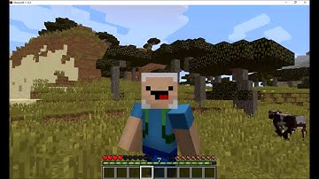 WEB310 MineCraft