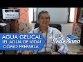 SS1 | AGUA GELICAL, ¡EL AGUA DE VIDA!  | COMO PREPARARLA | LUIS ANTONIO MELÓN GÓMEZ
