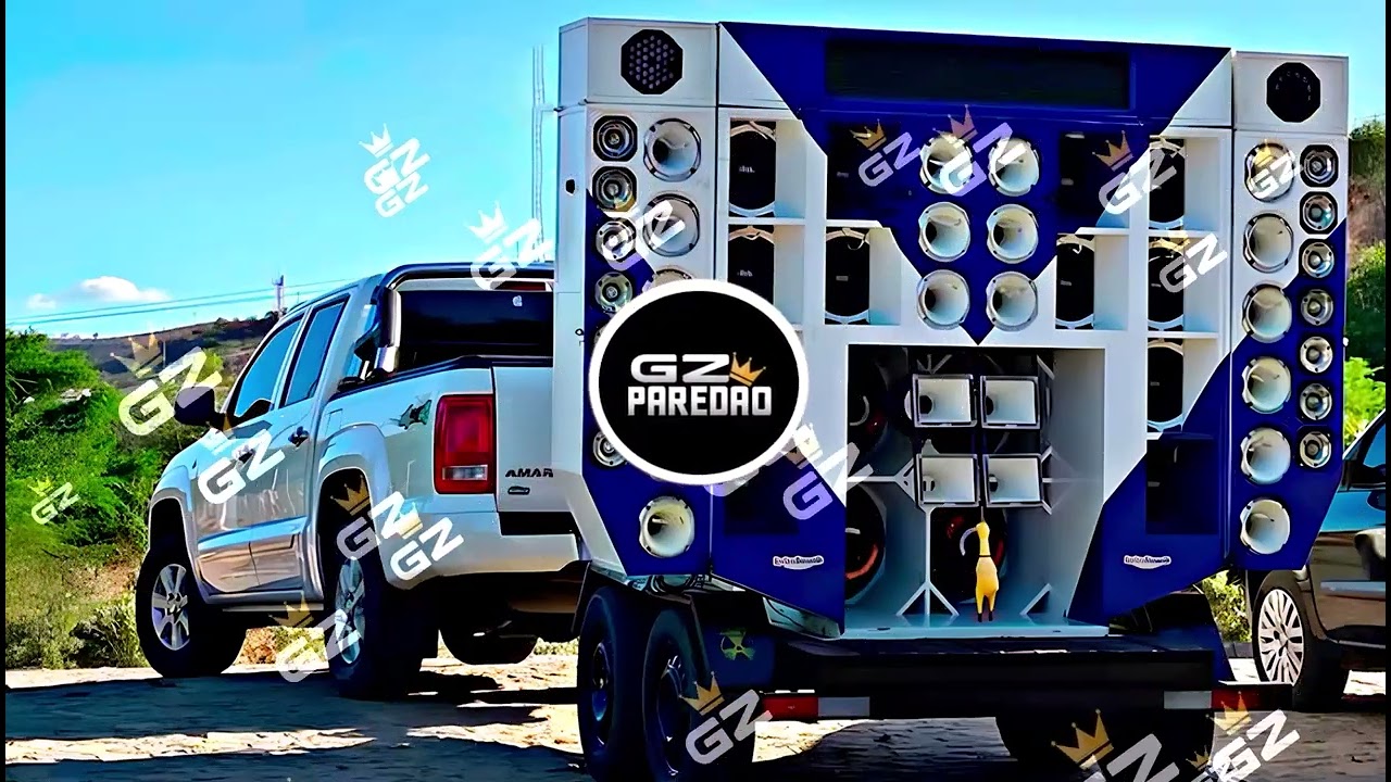 CD FORROZINHO PRA PAREDÃO 2025 NOVO ANAILSON PRODUÇÕES, DJ RAYLLAN E DUDU ALTA QUALIDADE #piseiro