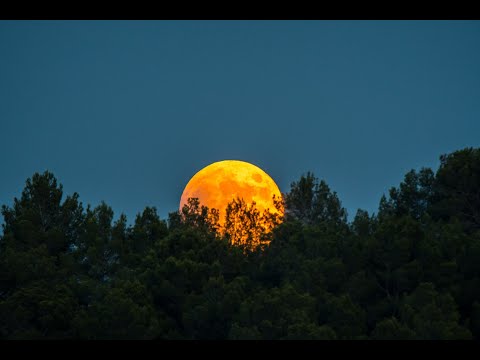 Roter Mond überm Silbersee