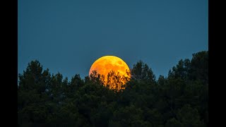 Roter Mond überm Silbersee