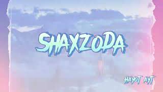 Shaxzoda - Hayot Ayt, Lyric Video