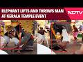Kerala News | Temple Elephant Lifts, Hurls Mahout Assistant During Ritual in Thrissur