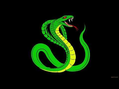 Команда змейка. Змея картинка. Зеленая змея. Змея на черном фоне. Змея арт.