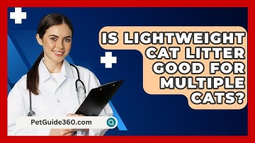 Is Lightweight Cat Litter Good For Multiple Cats? - PetGuide360.com
