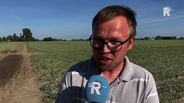 Extreem weer treft boeren uit Hoeksche Waard twee keer