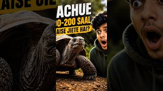 How Do Turtles Live So Long? 🐢😳 #facts #factozap #amazingfacts #ytshorts #allfacts