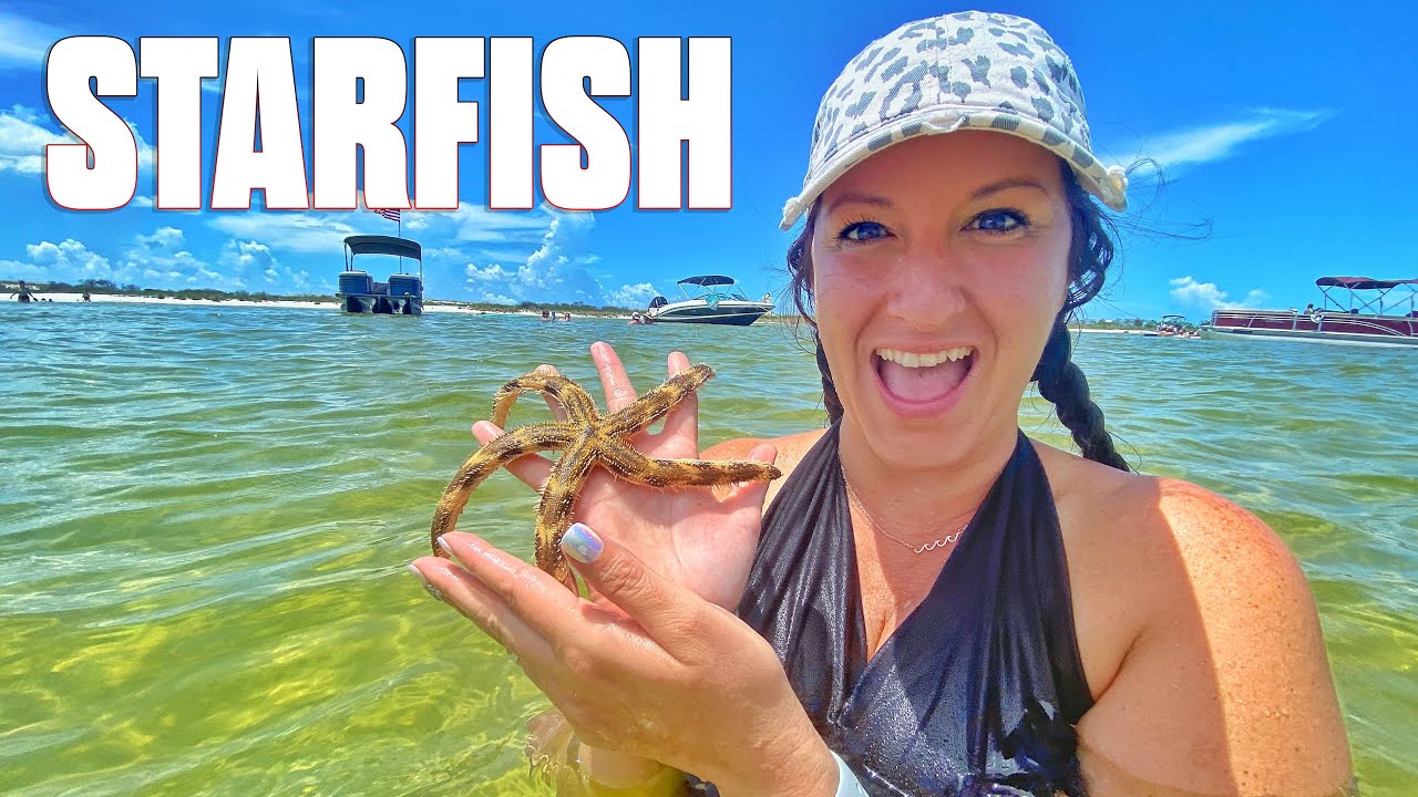 WE FOUND SO MANY! LAST BEACH DAY BEFORE BACK TO SCHOOL STARTS AND SUMMER ENDS
