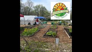 Global One Urban Farm- Cultivating Something Out of Nothing
