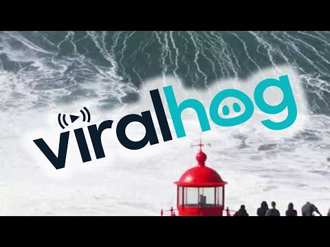 Riding the Wave of a Lifetime || ViralHog