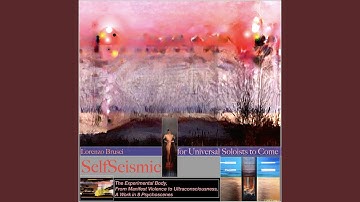 SelfSeismic Detection Myth: from State Violence to the Ethical Ageography of Sensing Everything
