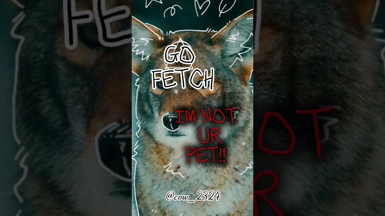 POV Your A Therian Therianedit Therianthropy Theriangear Cute Therians Foxtherian Edit