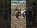 Amazing Horse Farming! 4 Horses Planting Seeds in Field 🚜❌🐎✅ #farming #planting #horse #power