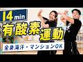 【14分有酸素】マンションOK!!飛ばない運動で脂肪を燃やそう！
