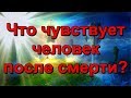 Что чувствует человек после смерти?