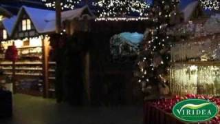 VIRIDEA NATALE 2010