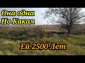 ОНА ОДНА, НО КАКАЯ. КОП 2021. НАХОДКИ С ФОРТУНА ПРО 2.