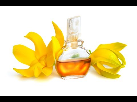 Vidéo: Comment L'huile D'ylang-ylang Aide Contre L'impuissance Et La Dépression