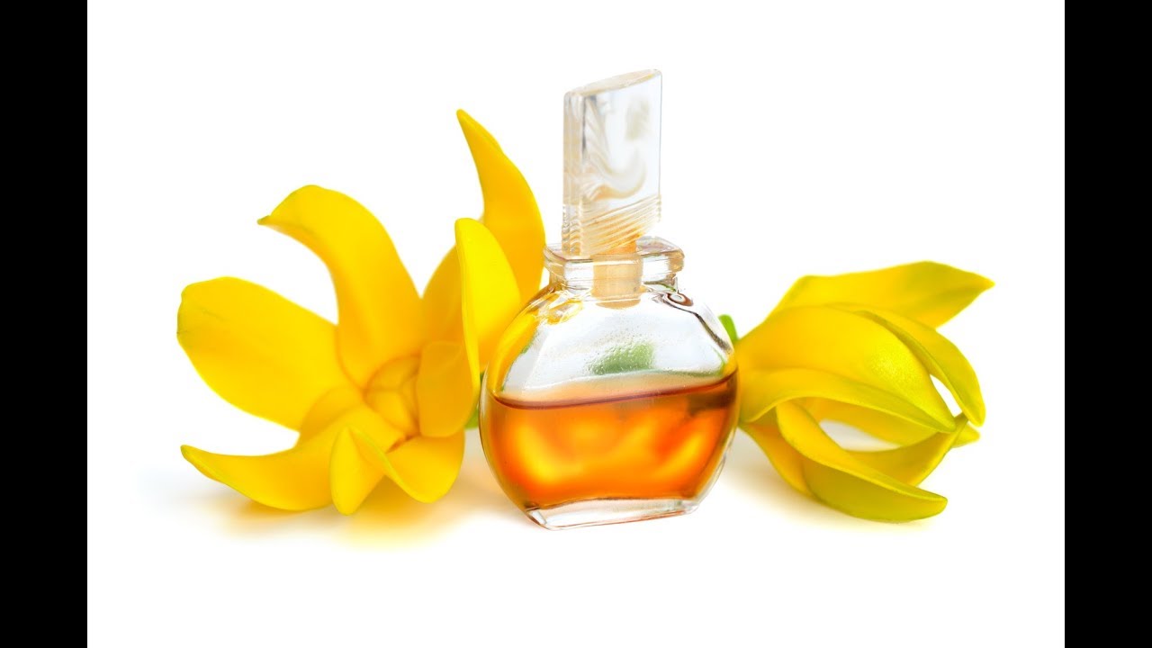 Huile essentielle d’Ylang-Ylang : propriétés, usages et précautions