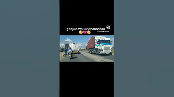 Kimwaga Wa Wapi 2025 Diy Funny Wall 