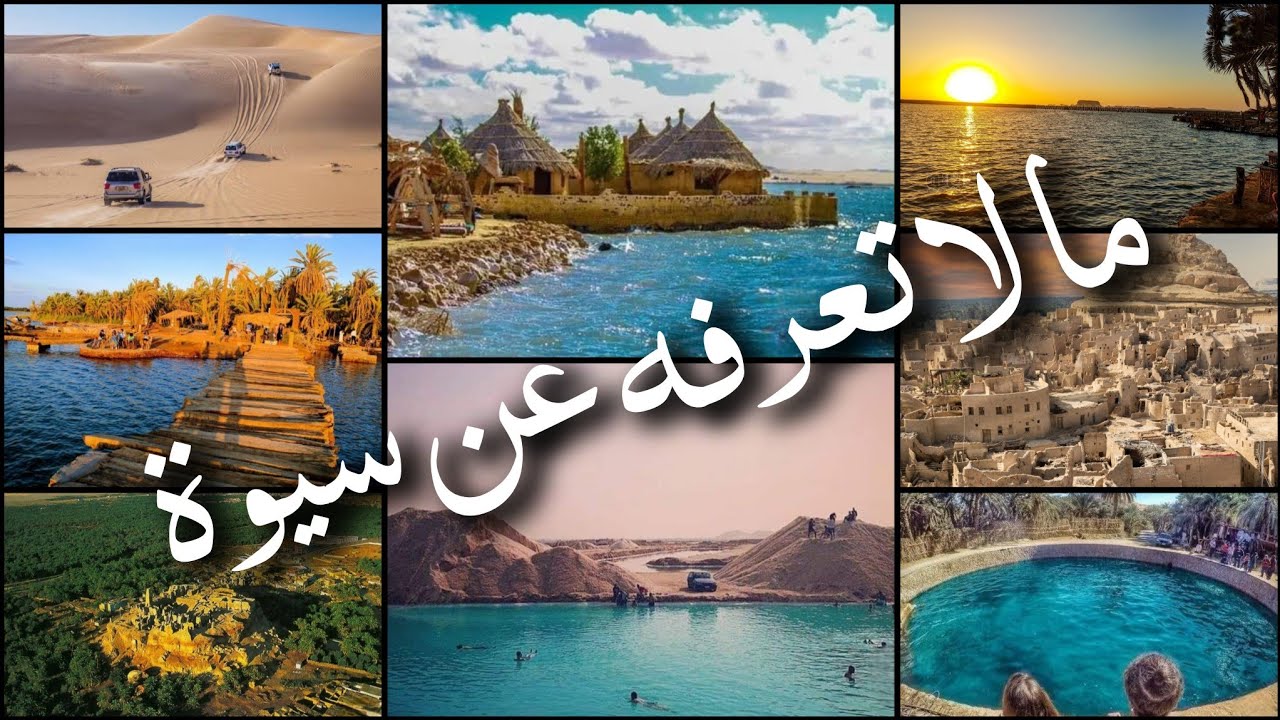 ريفيو كامل عن 👀 سيوة (طريق💗فنادق💗اسواق💗اكل💗مزارات)