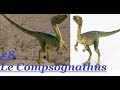 Info dino 8 le compsognathus la mchoire dlicate 