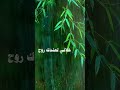 Zain_Qasem سررت في العمر مره وكنت أنت المسرهinstagram youtubeshorts youtube reels reel mp3