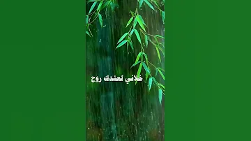 Al Commons22 س ررت في العمر مره وكنت أنت المسر ه Instagram Youtubeshorts Youtube Reels Reel 
