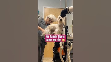 His family knew he was at the shelter but won’t come 🥺