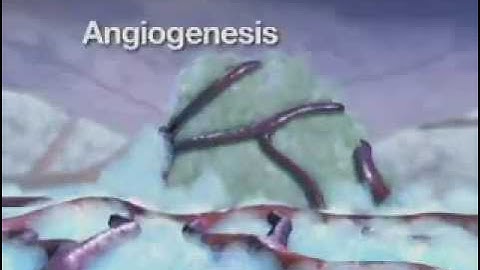 Angiogenesis - Interpharma