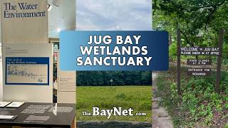 Jug Bay Is One Of Maryland's Best Hidden Nature Escapes